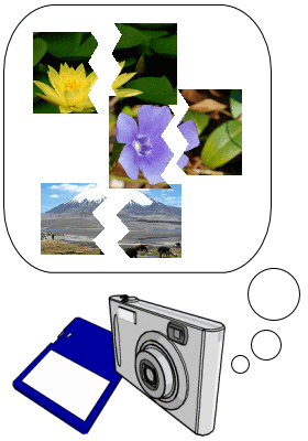 �ʐ^�i�����O�j