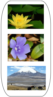 �ʐ^�i������j